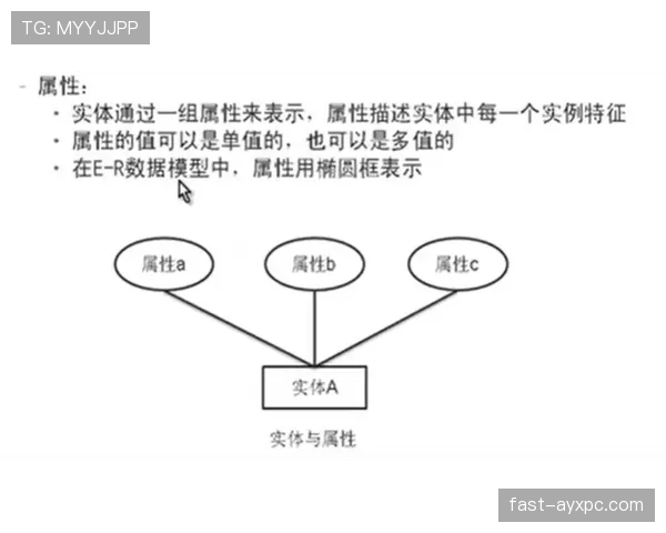 恶意犯规的判罚标准是什么？规则解析与实战案例说明